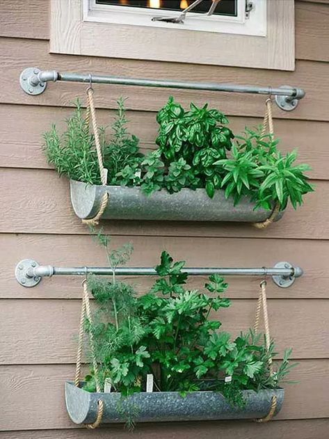 Garden Ideas For Renters, Apartment Herb Gardens, Gutter Garden, Vertical Garden Design, Diy Herb Garden, Herb Garden Design, Vertical Herb Garden, Vertical Garden Diy, Walled Garden