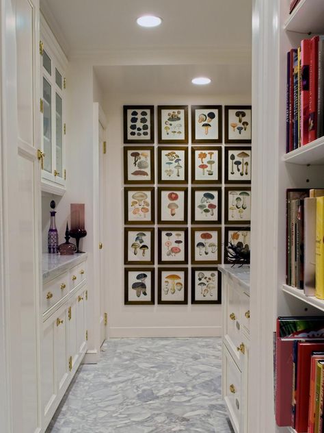 In this butler's pantry, a gallery wall of mushroom botanical art adds a curious culinary element. The large storage and utility space has it all: open shelves for cookbooks, counter space for prepping food and concealed storage for odds and ends. Botanical Prints Decor, Custom Framed Art, Built In Pantry, Wall Groupings, Framing Ideas, Kitchen Design Trends, Transitional Kitchen, Mushroom Decor, Butler's Pantry