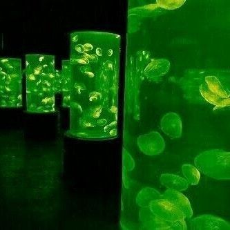 Green Slime, Theme Tattoo, Dark Green Aesthetic, Slytherin Aesthetic, Rainbow Aesthetic, Mad Scientist, Aesthetic Colors, Aesthetic Images, Green Aesthetic