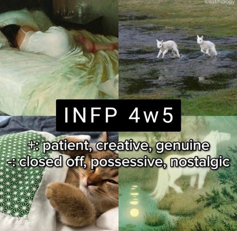 INFP personality, INFP 4w5, INFP 4 wing 5, INFP-T, INFP-T personality, INFP traits, INFP characteristics, INFP strengths, INFP weaknesses, INFP introvert, INFP creative, INFP artist, INFP writer, INFP deep thinker, INFP emotions, INFP feelings, INFP self-expression, INFP authenticity, INFP individuality, INFP identity, INFP personal growth, INFP self-discovery, INFP psychology, INFP analysis, INFP perspective, INFP mindset, INFP growth, INFP development, INFP insights, INFP relationships Infp Contradictions, Infp Movie List, Infp 4w5 Aesthetic, Infp Weaknesses, Infp Villain, Infp Strengths, Infp Feelings, Dating An Infp, Infp Psychology