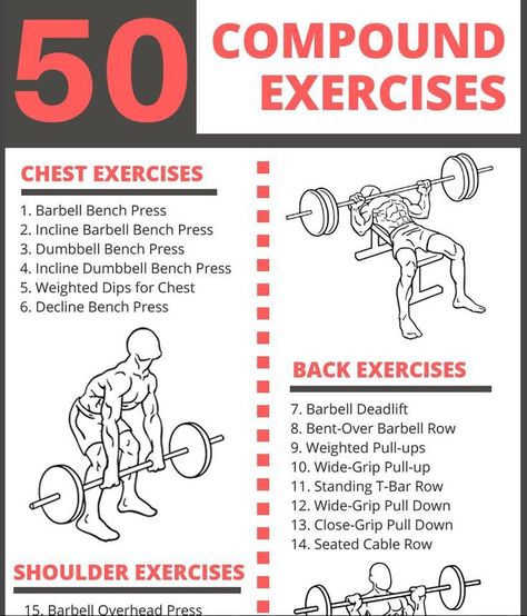 Exercises For Drawing, Drawing Back, Compound Lifts, Compound Exercises, Muscle Building Workouts, Weight Training Workouts, Aerobics Workout, Compound Bow, Best Exercises