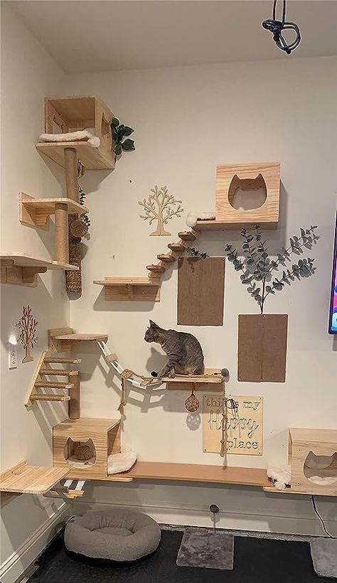 Related Posts - Amazon.com Cat Climbing Wall Shelves, Cat Room Diy, Cat Room Decor, Cat Climbing Wall, Cat Climbing Shelves, Kat Diy, Cat Bedroom, Cat Patio, Cat Wall Shelves