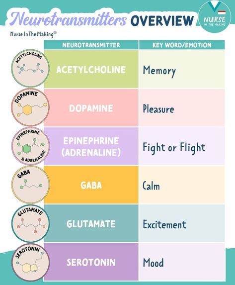 X Nurse Practitioner Notes Cheat Sheets, Neurotransmitters Notes, Nursing Students Study Notes Mental Health, Neuro Nursing Cheat Sheets, Neurotransmitters And Mental Health, Mental Health Nursing Student, Nursing Fundamentals Study Guides, Nremt Study Guide, Nursing Pneumonics