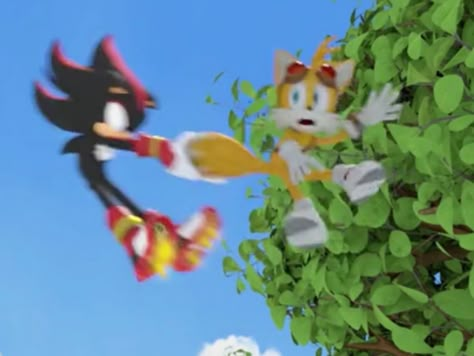 Sonic X Y/n, Sonic Boom Shadow, Shadow And Tails, Sonic Core, Tails Miles Prower, Tails Sonic, Shadow And Sonic, Sonic And His Friends, Miles Tails Prower