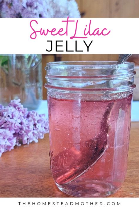 Sweet Lilac Jelly - The Homestead Mother Lilac Jelly, Jelly Recipes, The Homestead, Jams & Jellies, Kitchen Witch, Canning Recipes, Good Eats, Sugar Free, Jelly