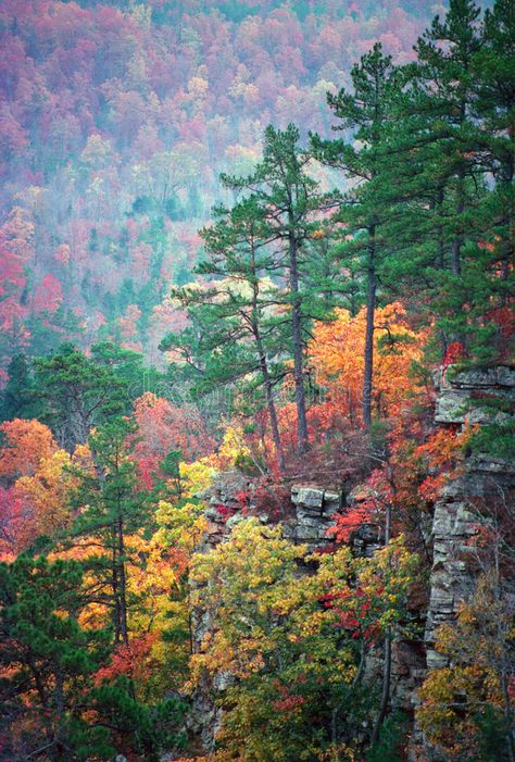 Ozark Color. Fall color in an Arkansas valley overlooked by a bluff of pine tree , #Sponsored, #color, #Arkansas, #Fall, #Ozark, #Color #ad Arkansas Scenery, Arkansas Aesthetic, Ozarks Arkansas, Autumn Pictures, Arkansas Travel, Book Vibes, Silver Dollar City, Seasons Autumn, Ozark Mountains