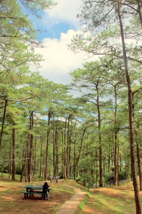 Camp John Hay Baguio, Camp John Hay, Baguio Philippines, Midnight Walk, Philippine Architecture, Pet Cemetery, Baguio City, Picnic Tables, Picnic Spot