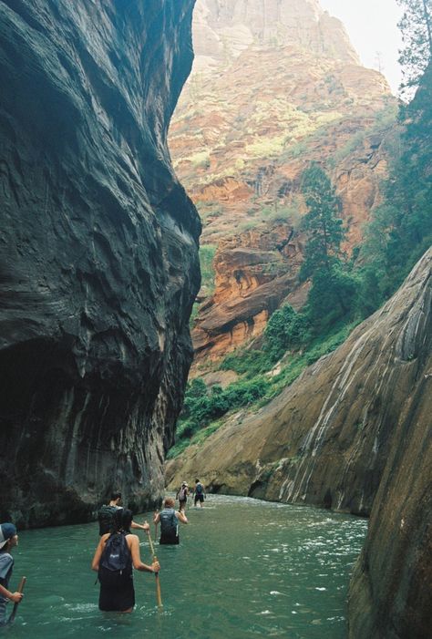 35mm Film Photography Art Print; Zion National Park, UT * Paper thickness: 10.3 mil * Paper weight: 5.6 oz/y² (192 g/m²) * Giclée printing quality * Opacity: 94% Zion The Narrows, Voyagers National Park, National Parks Aesthetic, Zions National Park, National Park Aesthetic, The Narrows Zion National Park, Zion Camping, Zion National Park Photography, Zion Park