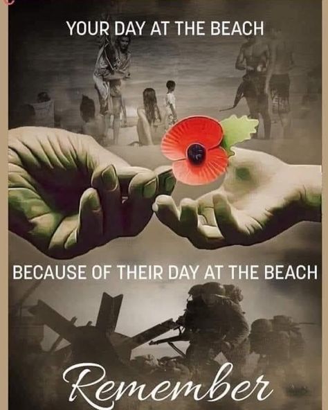 Remembrance Day Pictures, Remembrance Day Quotes, Remembrance Day Art, D Day Normandy, Remembrance Day Poppy, Remember The Fallen, Thank You Veteran, Remembrance Sunday, Never Forgotten