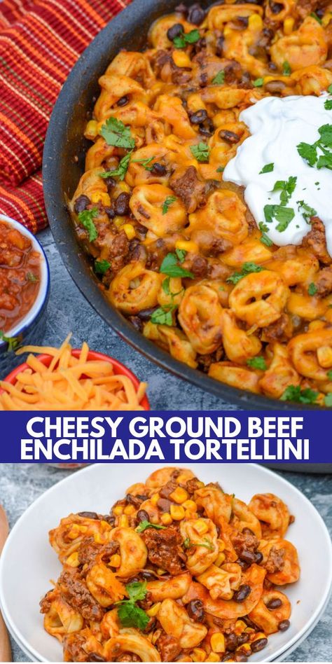 A fresh take on taco pasta, this cheesy ground beef enchilada tortellini is a quick weeknight dinner everyone will love. This winning dinner combines classic enchilada flavors and pillows of cheese tortellini for a quick recipe you will want to make over and over again. #cheesytortellini #enchilada #groundbeefenchilada Enchilada Tortellini, Cheesy Ground Beef, Enchilada Pasta, Ground Beef Enchiladas, Beef Enchilada, Tortellini Recipes, Taco Pasta, Beef Enchiladas, Cheese Tortellini