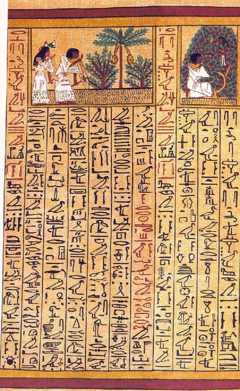 Papyrus In Egypt, Ancient Egypt Illustration, Howard Carter, Egyptian Papyrus, Egypt Hieroglyphics, Starověký Egypt, Egyptian Painting, Ancient Writing, Black Magic Spells