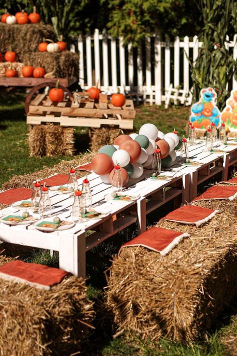 Take a look at this fun Fall pumpkin themed Sesame Street birthday party. The table settings are fantastic! See more party ideas and share yours at CatchMyParty.com Scarecrow Birthday Party, Fall Birthday Party Decorations, Pumpkin Patch Birthday Party, Sesame Street Birthday Party Ideas, Pumpkin Patch Kids, Pumpkin Patch Birthday, Pumpkin Patch Party, Fall Pumpkin Patch, Pumpkin Birthday Parties