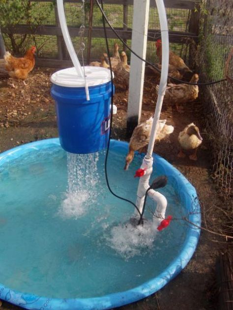 Duck Pond Filter, Diy Duck Pond, Duck Waterer, Duck Enclosure, Duck Pen, Duck Pens, Duck Ideas, Ducks And Chickens, Backyard Animals