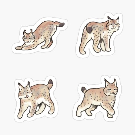 Get my art printed on awesome products. Support me at Redbubble #RBandME: https://www.redbubble.com/i/sticker/Cute-Lynx-pack-by-Artofmayara/163976897.EJUG5?asc=u Lynx Illustration, Canada Lynx, Lynx, Animal Totems, Sticker Art, Big Cats, Dad Hats, Animal Drawings, Sticker Design