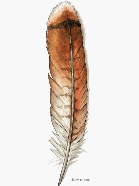 Redtail Hawk Feather Tattoo, Red Tail Hawk Feather Tattoo, Red Tailed Hawk Feather Tattoo, Red Tail Hawk Tattoo, Hawk Feather Tattoo, Red Tailed Hawk Tattoo, Red Tail Hawk Feathers, Hawk Feather, Red Tail Hawk