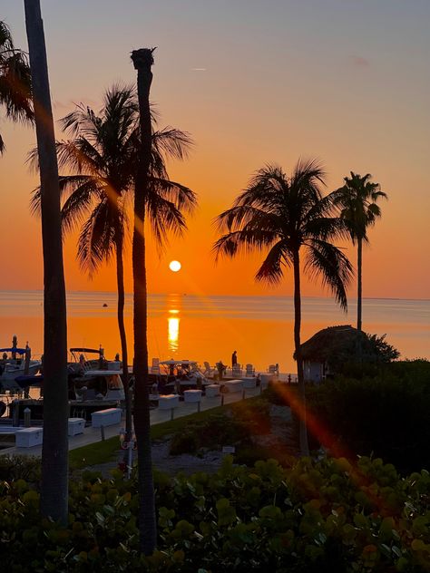 #orange #sunset #keywest #florida #palmtrees Corey Matthews, Keywest Florida, Key West Sunset, Sunset Road, Florida Sunset, Summer Book, Orange Sunset, Summer Plans, Key West Florida