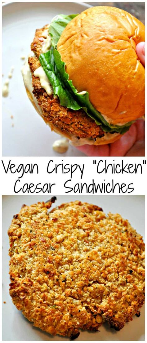 Vegan Crispy "Chicken" Caesar Sandwiches - Rabbit and Wolves Healthy Tasty Vegan Recipes, Vegan Chickpea Sandwich, Chickpea Sandwich Recipes, Ovo Vegetarian Recipes, Vegan Crispy Chicken, Vegan Bahn Mi, Chicken Caesar Sandwich, Crispy Chickpea, Chickpea Patties