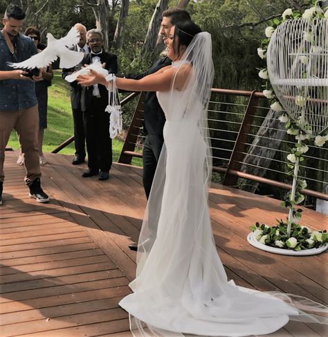 White doves are symbolic of new beginnings, peace, fidelity, love, luck and prosperity. Dove Release, White Dove, White Doves, Outdoor Ceremony, New Beginnings, White Wedding, For Life, Special Events, Our Wedding