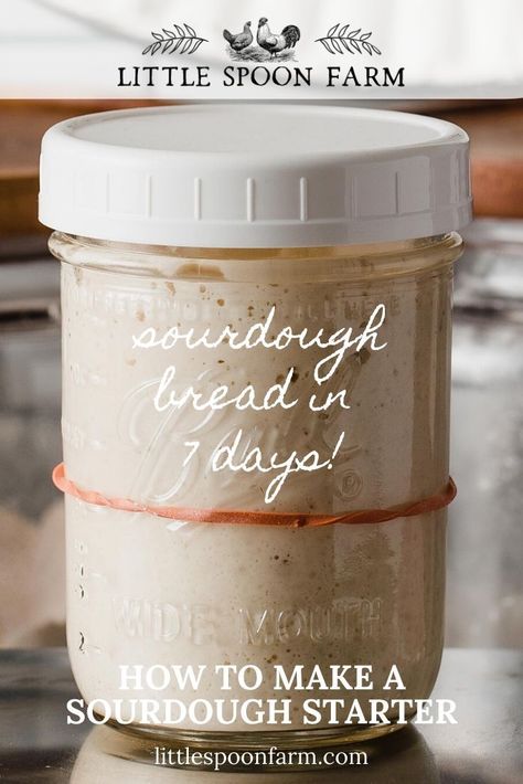 Learn how to make a DIY sourdough starter with this easy recipe. This tutorial includes uses for your starter, a solid feeding schedule and which flours to use, such as whole wheat flour or all-purpose flour. Click to find out why some starters fail and how you can easily cultivate a healthy, homemade sourdough starter in about 7 days! Best Sourdough Cookbooks, Gifting Sourdough Starter, Little Spoon Farm, Sourdough Starter From Scratch, Make A Sourdough Starter, Sourdough Breads, Sourdough Starter Discard Recipes, Sourdough Bagels, Baking Sourdough