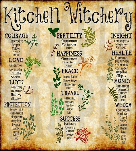 Art Witchcraft, Witch Poster, Witchcraft Herbs, Witch Herbs, Magia Das Ervas, Wiccan Magic, Magic Herbs, Kitchen Witchery, Magical Herbs