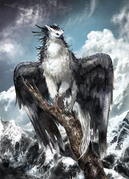 null   #amreading #books #wattpad Mystical Animals, Fantasy Animals, Fantasy Stuff, Mythical Animal, Fantasy Beasts, 다크 판타지, Creature Drawings, Fantasy Creatures Art, Fantasy Monster