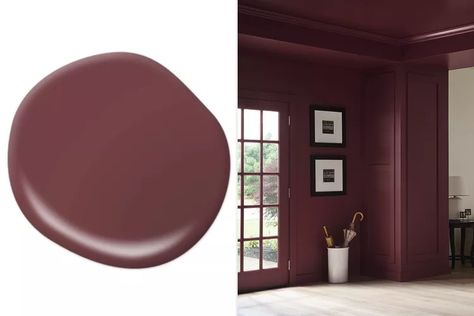 Behr Paint Reveals Color of the Year for 2025: Rumors Red Burgundy Paint Colors, Shades Of Dusty Pink, Brown Paint Colors, Burgundy Paint, Behr Paint Colors, Small Space Ideas, Behr Paint, Brown Paint, Home Goals