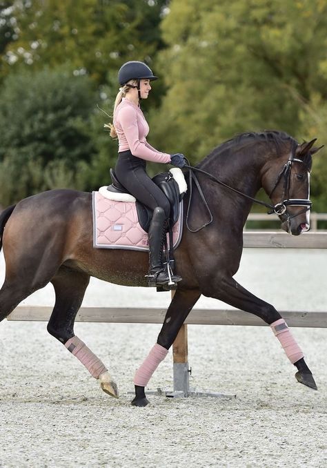 Riding Outfits, Horseback Riding Outfits, Horse Riding Outfit, Show Jumping Horses, Equestrian Aesthetic, Horse Riding Clothes, Horse Dressage, Dressage Horses, Horse Equestrian