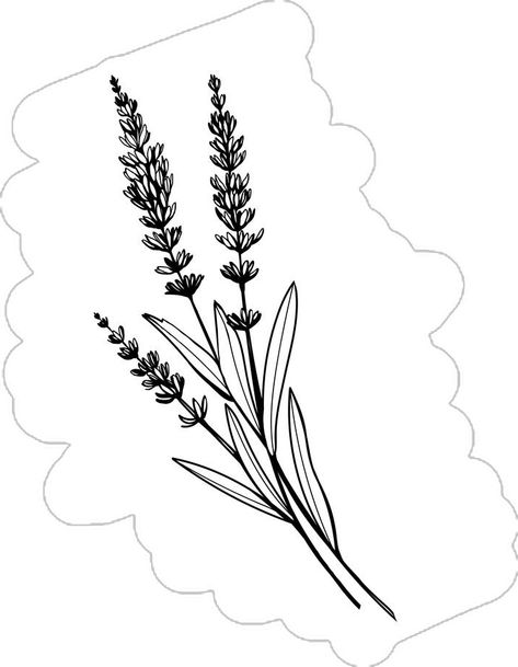 Lavender Sketch Simple, Violet Summer, Flower Engraving, Plant Sketches, Black And White Vector, Vector Sketch, Sketches Simple, Wild Flower, Single Image