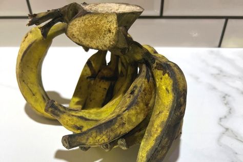 Are Burro Bananas the Same As Plantains? https://alkalineveganlounge.com/are-burro-bananas-the-same-as-plantains/ Burro Banana Recipes, Burro Banana, Banana Types, Banana Nutrition, Cooking Bananas, Natural Plant Food, Ripe Plantain, Nutrition Chart, Starchy Foods