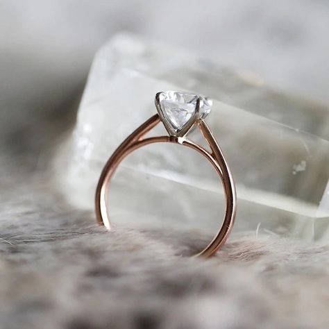 Stephanie Engagement Ring Tall Setting Engagement Ring, Oval Ring Cathedral Setting, Cathedral Rings, Solitaire Cathedral Engagement Ring, Cathedral Setting Engagement Ring, Rings Photography, Cathedral Ring Setting, Solitaire Engagement Ring Setting, Solitaire Engagement Ring Cathedral