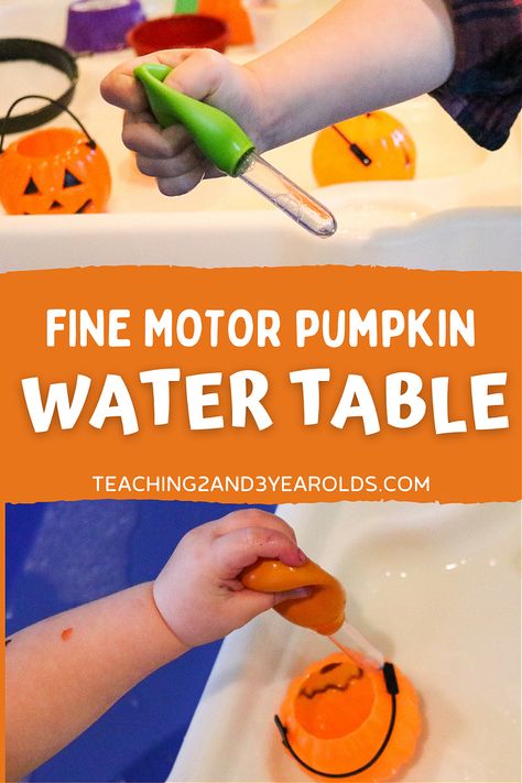 Work on fine motor skills with this hands-on pumpkin water table. Using droppers with water is a great way to strengthen the fingers, getting them ready for writing! #fall #autumn #pumpkin #watertable #finemotor #sensory #toddlers #preschool #teaching2and3yearolds Halloween Lesson Plans, Fall Activities For Toddlers, Pumpkin Unit, Water Table Activities, Halloween Lesson, Halloween Sensory, Fall Preschool Activities, Pumpkin Activities, Sensory Activities Toddlers