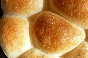 Herman Dinner Rolls Recipe | Allrecipes Herman Starter, Amish Bread, Sourdough Rolls, Amish Friendship Bread, Friendship Bread, Starter Recipes, Peanut Butter Candy, Breaking Bread, Dinner Rolls Recipe