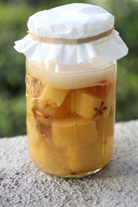 Kombucha Apple Scrap Vinegar Kombucha Making, Apple Scraps, Kefir Water, Gut Food, Homemade Apple Cider Vinegar, Kombucha Recipes, Drinking Apple Cider Vinegar, Vinegar Recipes, Apple Cider Vinegar Remedies