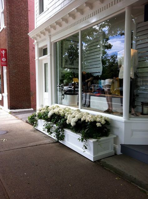 white hydrangeas in white planters - Ralph Lauren Store, East Hampton Preppy Pinterest, Its The Weekend, Ralph Lauren Store, Park Project, Storefront Design, White Hydrangeas, The Enchanted Home, Enchanted Home, Greenwich Ct