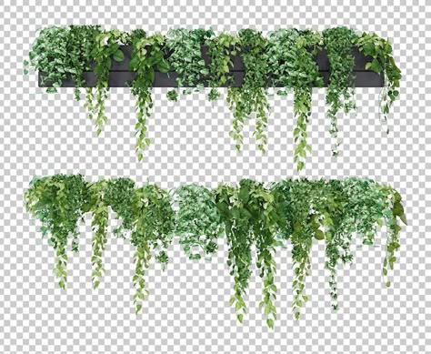 Hanging Plant Drawing, Plants Elevation, Plants Cutout, Vegetation Png, Photoshop Landscape, Curtains Vector, Hanging Plants Outdoor, Plant Png, Tree Doodle