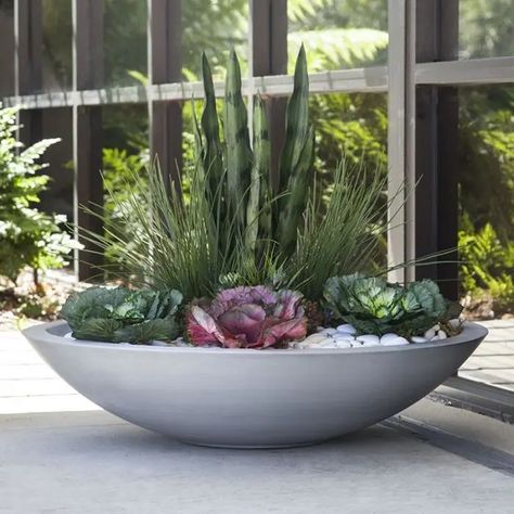 Terrace Planters, Large Bowl Planters, Commercial Planters, Large Outdoor Planters, Custom Planters, Potted Plants Outdoor, Bowl Planter, Fiberglass Planters, Modern Planters