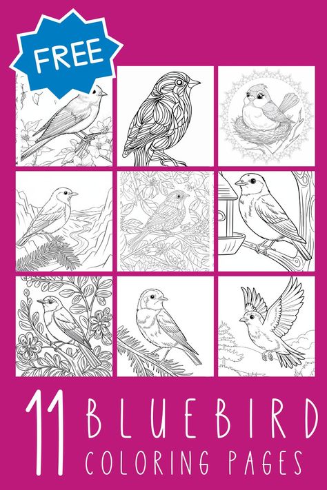 5 Free Bluebird Coloring Pages for Creative Relaxation (PDF Printables) Birds Coloring Pages, Bird Coloring, Screen Free Activities, Printable Valentines Cards, Bird Coloring Pages, Screen Free, Printable Pages, Coloring Pages For Adults, Free Activities