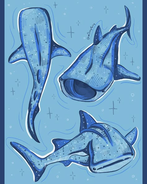 i’m currently obsessed with whale sharks so here are some sketches 🥹🩵 aren’t they so cute ???? ___ #art #artist #artistic #sketch #sketches #sketching #sketchdaily #sketchbook #sketchbooks #sketchbookart #whaleshark #whalesharks #whalesharkswimming #digitalart #digitalartist #digitalsketching #digitalsketchbook #procreate #shark #sharks #sharkdrawing Whale Shark Kawaii, Shark Reference Drawing, Whale Shark Art Cute, Wale Sharks Drawing, Shark Drawings Cute, Shark Sketchbook Page, Whale Shark Drawing Cute, Whale Shark Drawing Sketches, Shark Drawing Reference