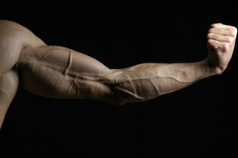 arm of momo II by *unseen62 on deviantART Elbow Anatomy, Skeleton Muscles, Arm Anatomy, Human Anatomy Reference, Hand Anatomy, Body Study, Man Anatomy, Human Body Art, Arm Muscles