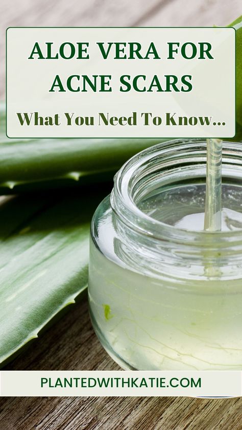 Have you ever wondered if there's a natural way to reduce acne scars? Let's dive into the question, "Does aloe vera help with acne scars?" Aloe Vera For Acne, Aloe Vera For Scars, Natural Acne Scar Remedy, How To Get Rid Of Scars On Face From Acne, Heal Acne Scarring, Getting Rid Of Scars, Scar Remedies, Acne Scar Remedies, Aloe Vera For Face