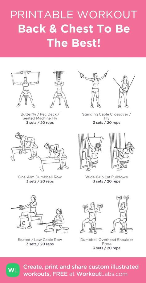 Weight Room Arm Workout, Gym Workouts Women Printable, Cheat And Back Workout Gym, Chest Back And Abs Workout, Back Exercise Machines Gym, Women’s Chest And Back Workout, Chest Workout Women Machine, Back Workout For Beginners Gym, Cheat And Back Workout