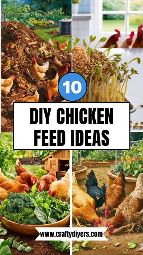 10 DIY Chicken Feed [Easy To Make] Fermented Grains, Chicken Feed Diy, Homemade Chicken Feed, Bantam Chicken Breeds, Bantam Chickens, Kitchen Scraps, Sprouted Grains, Egg Production, Diy Chicken