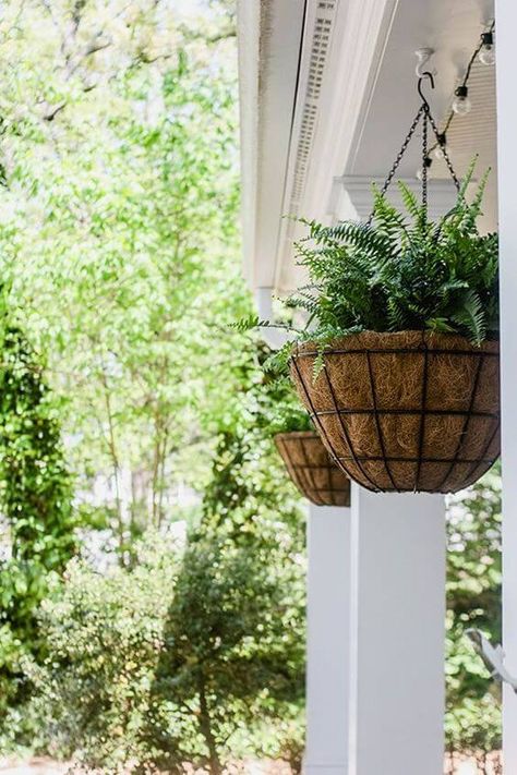 21 Front Porch Decorating Ideas with Recycled Planters - 146 Hanging Flower Baskets On Porch, Front Porch Plants, Hanging Ferns, Hanging Plants Outdoor, Hanging Plants Diy, Front Porch Makeover, Porch Plants, Porch Makeover, Front Yard Design