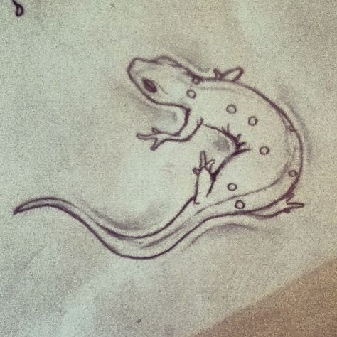 Newt :) Reptile Tattoo Design, Eastern Newt Tattoo, Newt Drawing Animal, Cute Gecko Tattoo, Salamander Sketch, Newt Tattoo, Newt Drawing, Salamander Drawing, Practice Tattoos