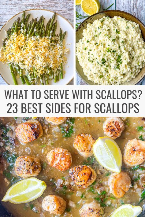 Sides For Scallops, Side Dishes For Scallops, List Of Side Dishes, Bay Scallop Recipes, Scallop Recipes Healthy, Shrimp And Scallop Recipes, Easy Scallop Recipes, Seared Sea Scallops, Frozen Scallops