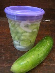 LL Farm: Freezer Pickles Freezer Pickles Recipes, Pickles Refrigerator, Freezer Pickles, Pickles Recipes, Pickle Recipes Homemade, Farm Chickens, Large Glass Bowl, Pickle Recipes, Canning Recipe