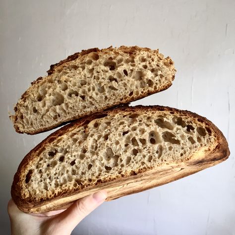 Mark Bittman Whole Wheat No-Knead Bread - Community Grains Tartine Bread, Jim Lahey, Wheat Bread Recipe, Mark Bittman, Michael Pollan, Whole Grain Flour, Knead Bread, Sourdough Bread Recipe, No Knead Bread