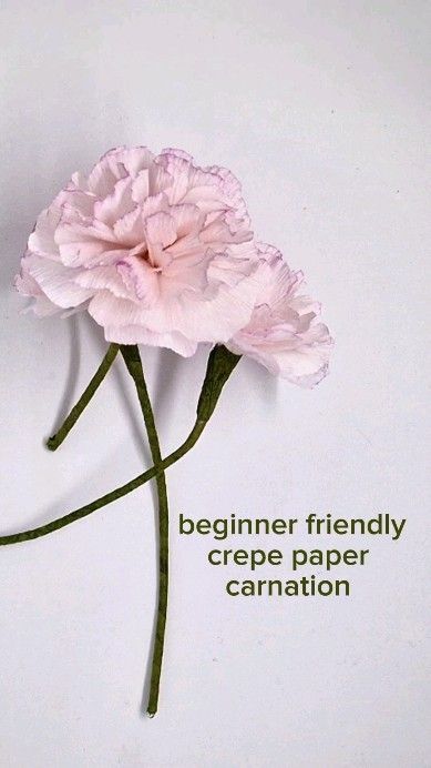 Atelier Fleurs de Crepon | Handmade crepe paper carnation step by step #paperflower #paperart #handmadeflower #diyflower #paperflorist #fleurenpapier #artistepapier | Instagram Crepe Paper, Flower Crafts, Paper Flowers, Step By Step, Flowers, Instagram