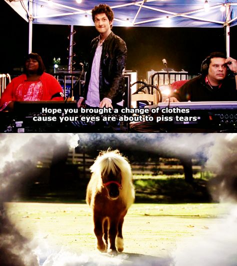 jean-ralphio + lil' sebastian. my favorites in one Jean Ralphio, Lil Sebastian, Ben Schwartz, Laugh Track, Laugh Lines, Funny Shows, Aubrey Plaza, Parks N Rec, Tv Quotes