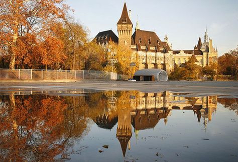 November in Budapest, Hungary: Weather, Events, and What to Pack November Weather, November Events, October Weather, Visit Budapest, Photo Exhibition, Hungary Travel, Budapest Travel, Buda Castle, Dinner Cruise